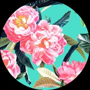 Meet your Posher, Fab